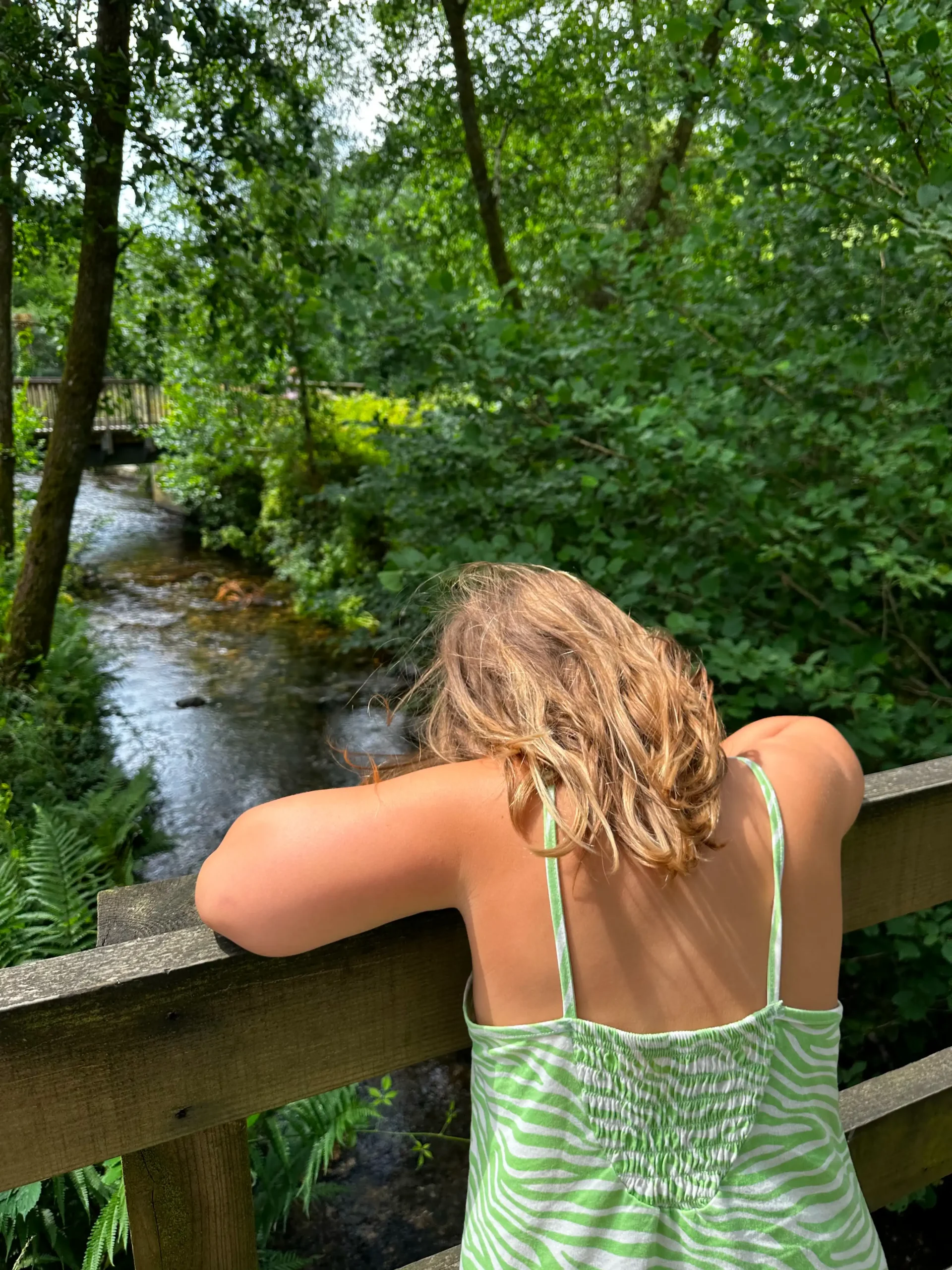 Girl Looking Over Bridge In Woods