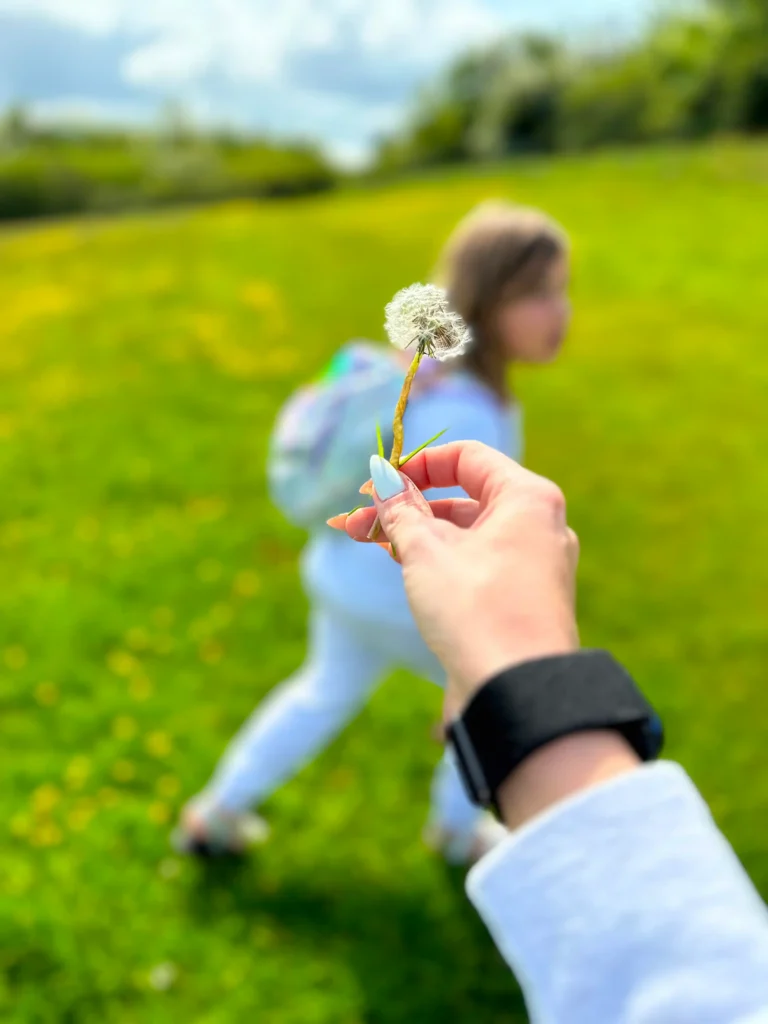 Hand Holding Flower Becreative