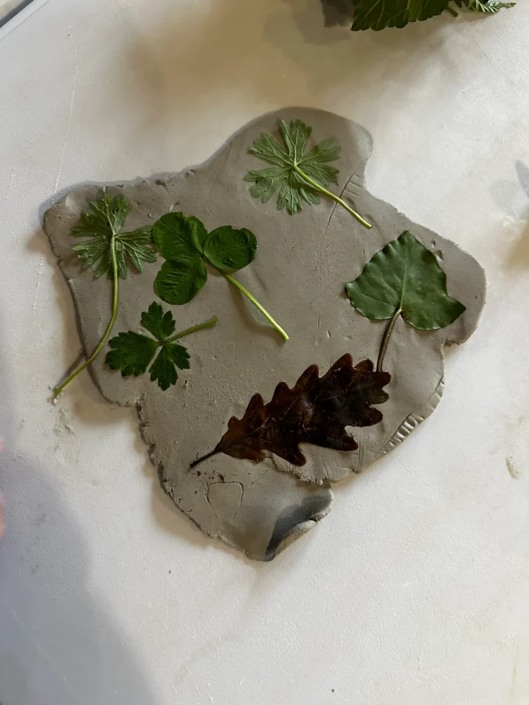 dried plants on a clay board